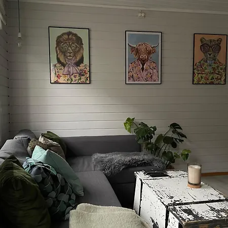 Cozy In Centre, Perfect For The World Championships *